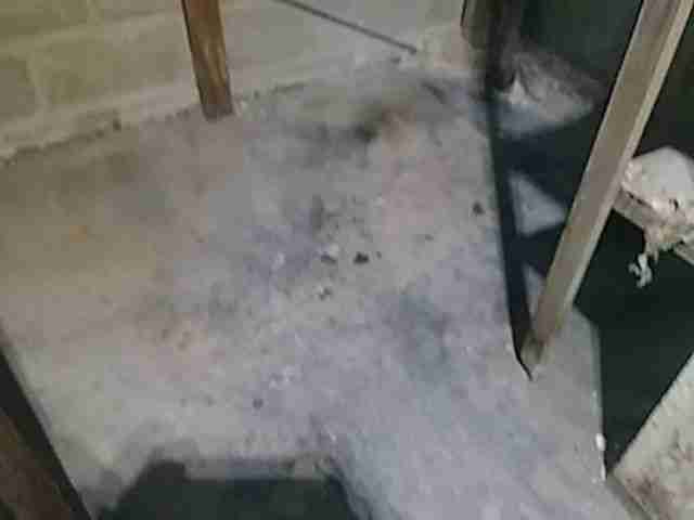 Testing again(56).jpg